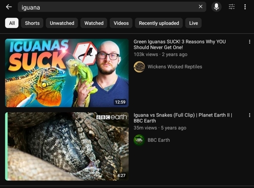 YouTube Search: "iguana" / Top Result: "Green Iguanas SUCK! 3 reasons why YOU should never get one!"
